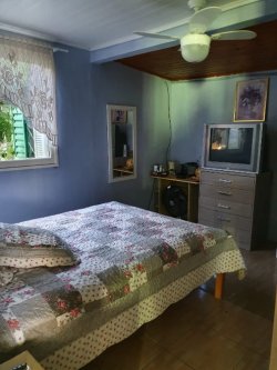 Terreno na Feitoria com duas casas  