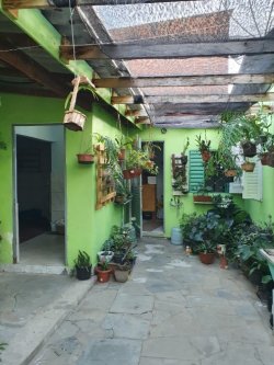 Terreno na Feitoria com duas casas  