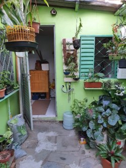 Terreno na Feitoria com duas casas  