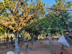 Área de 2,00 hectares com imóvel em Lomba Grande 