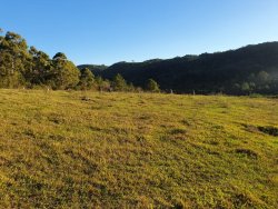 Área de 2,00 hectares com imóvel em Lomba Grande 