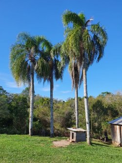 Área de 12,5 hectares  