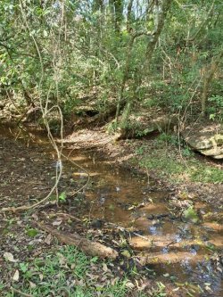Área de 12,5 hectares  