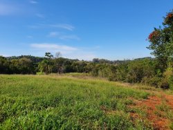Área de 12,5 hectares  