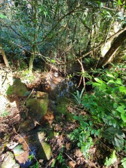 Área de 12,5 hectares  