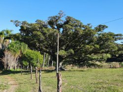 Área de 12,5 hectares  