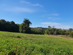Área de 12,5 hectares  