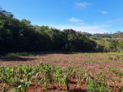 Área de 12,5 hectares  