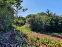 Área de 12,5 hectares  