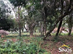 Terreno na principal de Lomba Grande 