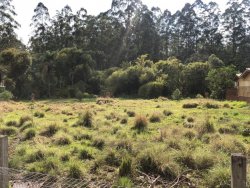 Terreno bem localizado e plano 