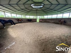 Sítio de 3,00 hectares em Lomba Grande  