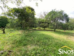 Sítio de 3,00 hectares em Lomba Grande  