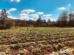 Área de 2,00 hectares no bairro Lomba Grande 