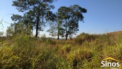 Terrenos de 321 m² no Loteamento Blumenburg 