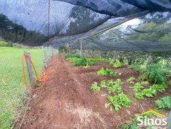 Belo sítio de 3,1 hectares na região central de Lomba Grande 