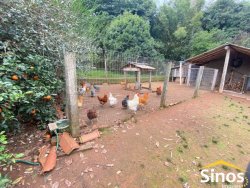 Belo sítio de 3,1 hectares na região central de Lomba Grande 