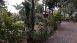 Sítio de 1,00 hectare com produção de pitaya 