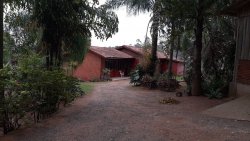 Sítio de 1,00 hectare com produção de pitaya 
