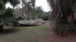 Sítio de 1,00 hectare com produção de pitaya 
