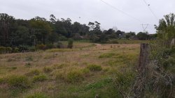 Sítio de 1,00 hectare com produção de pitaya 