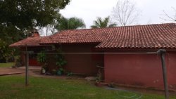 Sítio de 1,00 hectare com produção de pitaya 