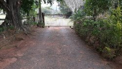 Sítio de 1,00 hectare com produção de pitaya 