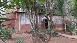 Sítio de 1,00 hectare com produção de pitaya 