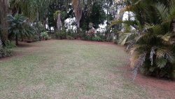 Sítio de 1,00 hectare com produção de pitaya 