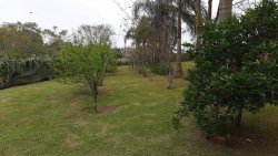 Sítio de 1,00 hectare com produção de pitaya 