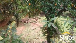 Terreno no Bairro Ouro Branco 