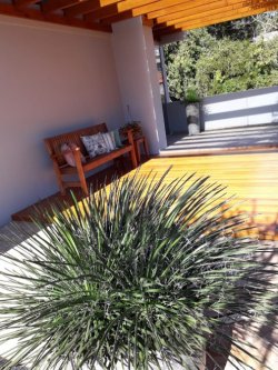 Linda casa no bairro Walachai 