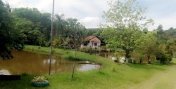 Lindo Sítio de 4.383,44 m² em Lomba Grande 