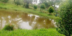 Lindo Sítio de 4.383,44 m² em Lomba Grande 