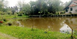 Lindo Sítio de 4.383,44 m² em Lomba Grande 