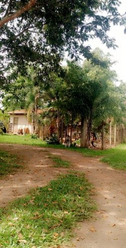 Lindo Sítio de 4.383,44 m² em Lomba Grande 