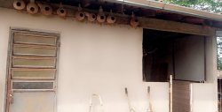 Lindo Sítio de 4.383,44 m² em Lomba Grande 