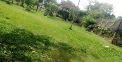 Lindo Sítio de 4.383,44 m² em Lomba Grande 