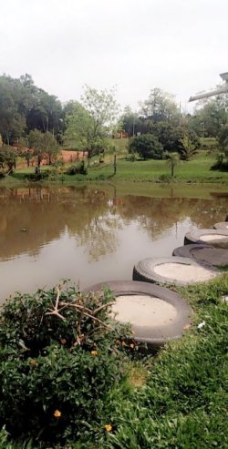 Lindo Sítio de 4.383,44 m² em Lomba Grande 