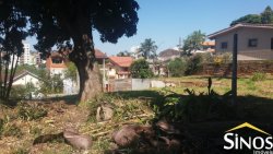 Terrenos no Bairro Ideal 