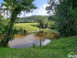 Sítio de 4,1 hectares no Pega Fogo  