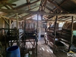 Sítio de 4,1 hectares no Pega Fogo  