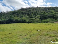 Sítio de 4,1 hectares no Pega Fogo  