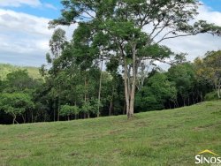 Sítio de 4,1 hectares no Pega Fogo  