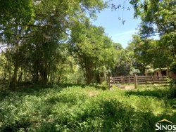 Sítio de 17,2 hectares em Lomba Grande 
