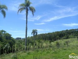 Sítio de 17,2 hectares em Lomba Grande 