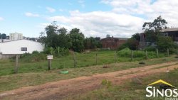 Terreno em frente a BR-116 