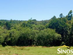 Sítio de 7,3 hectares na área Central de Lomba Grande 