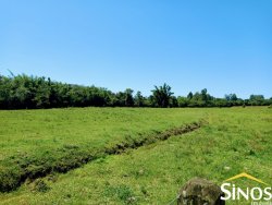 Sítio de 7,3 hectares na área Central de Lomba Grande 