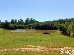 Sítio de 7,3 hectares na área Central de Lomba Grande 